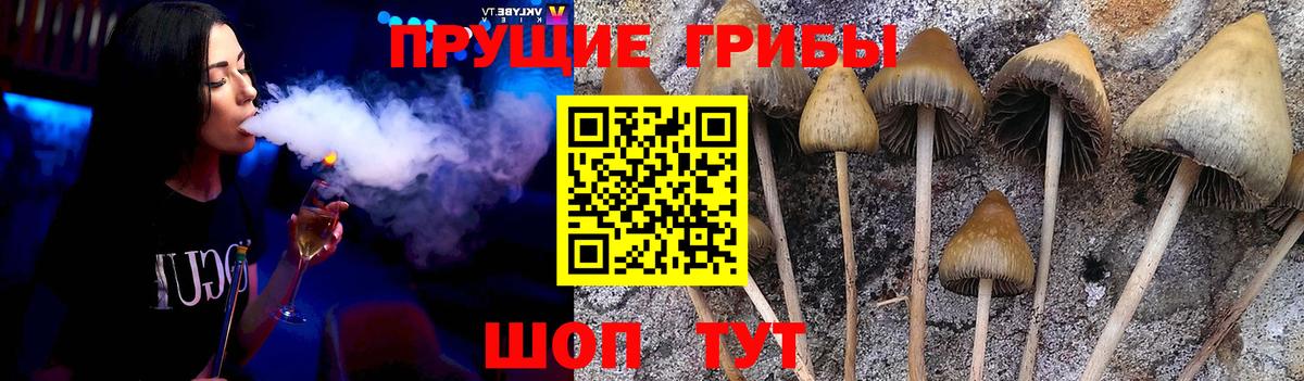 Псилоцибиновые грибы MAGIC MUSHROOMS  Псилоцибиновые грибы MAGIC MUSHROOMS  Вход с VPN  Саянск 
