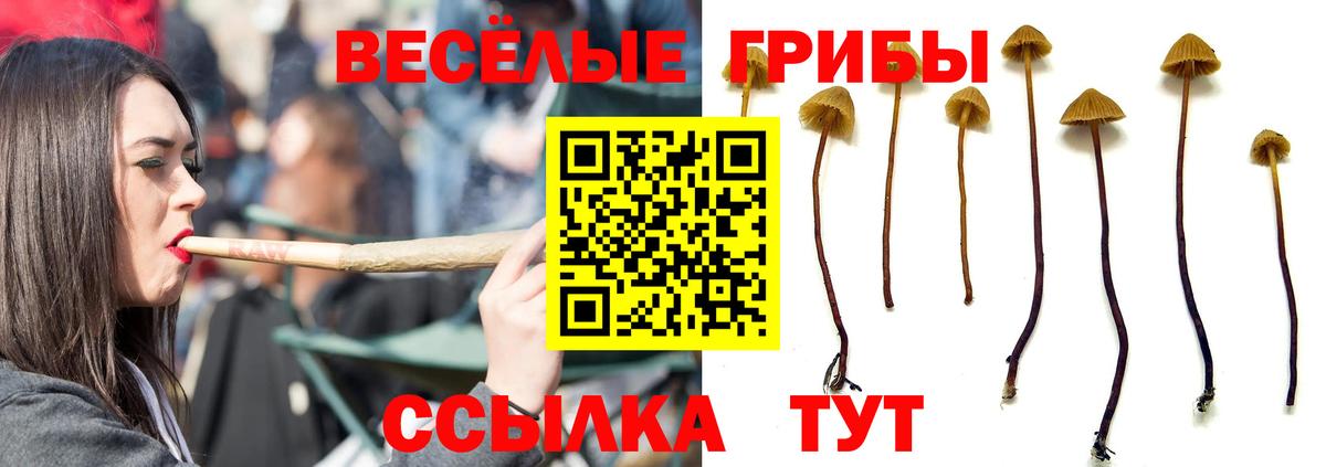 Псилоцибиновые грибы мухоморы Саянск